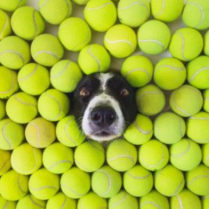 Tennis Balls